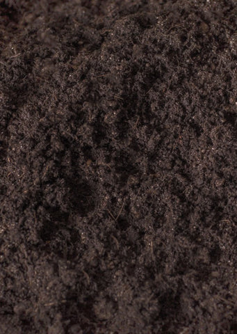 Organic Potting Soil