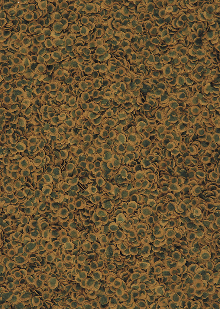 TetraPro Algae Multi-Crisps