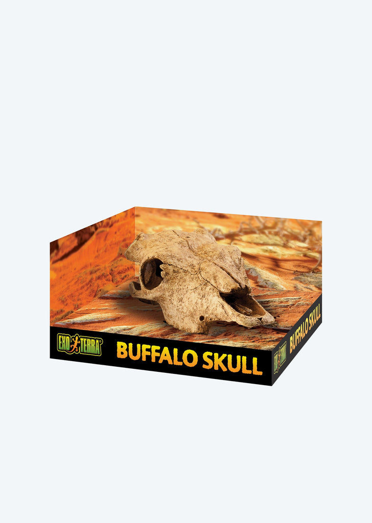 Exo Terra Cattle Skull