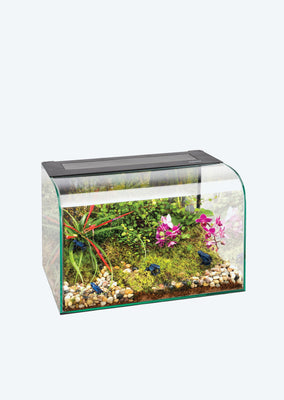 Exo Terra Habisphere Terrarium