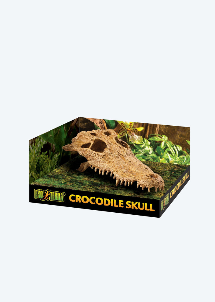 Exo Terra Crocodile Skull