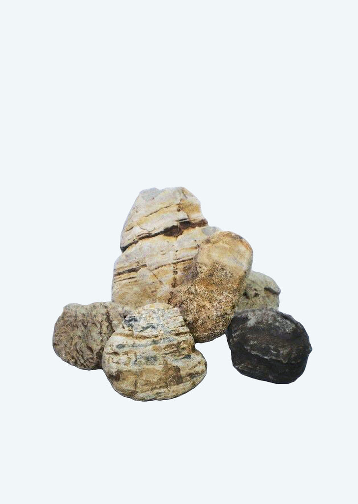 Grain Stone | Aquarium Stones UAE | Discus.ae