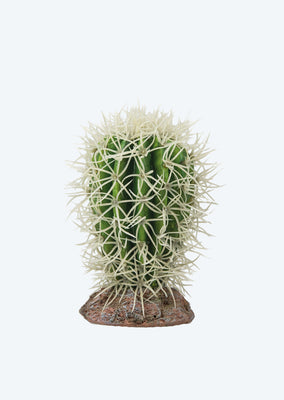 HOBBY Artificial Cactus Great Basin