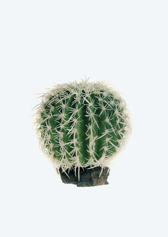 HOBBY Artificial Cactus Sierra Nevada