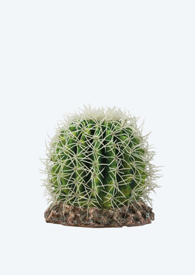 HOBBY Artificial Cactus Sonora