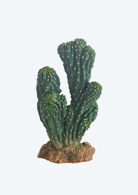 HOBBY Artificial Cactus Victoria