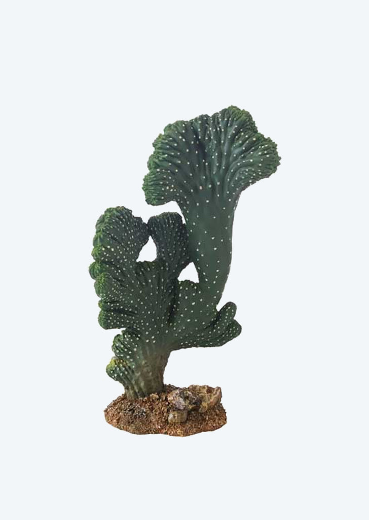 HOBBY Artificial Cactus Victoria