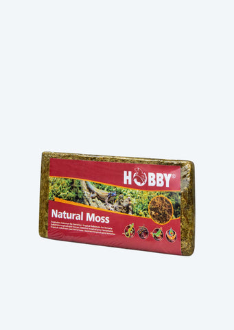 HOBBY Natural Moss
