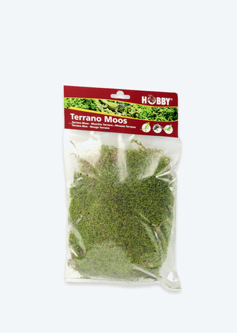 HOBBY Terrano Dried Moss