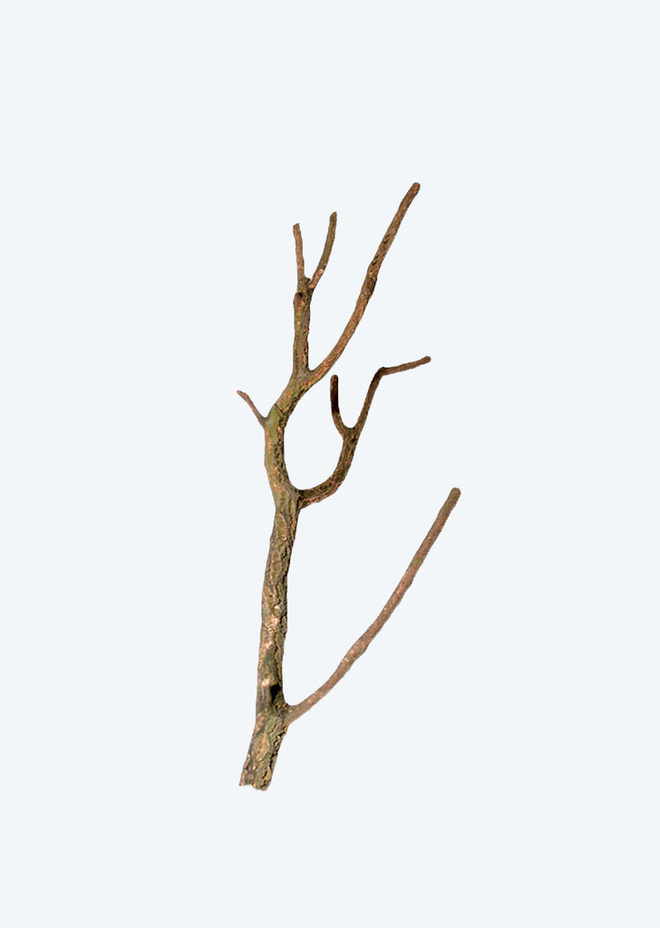 HOBBY Natural Cork Branch