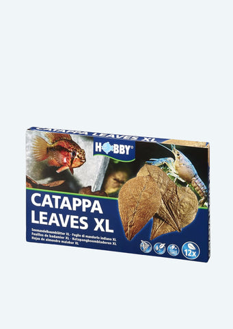 HOBBY Catappa Leaves water from Hobby products online in Dubai and Abu Dhabi UAE