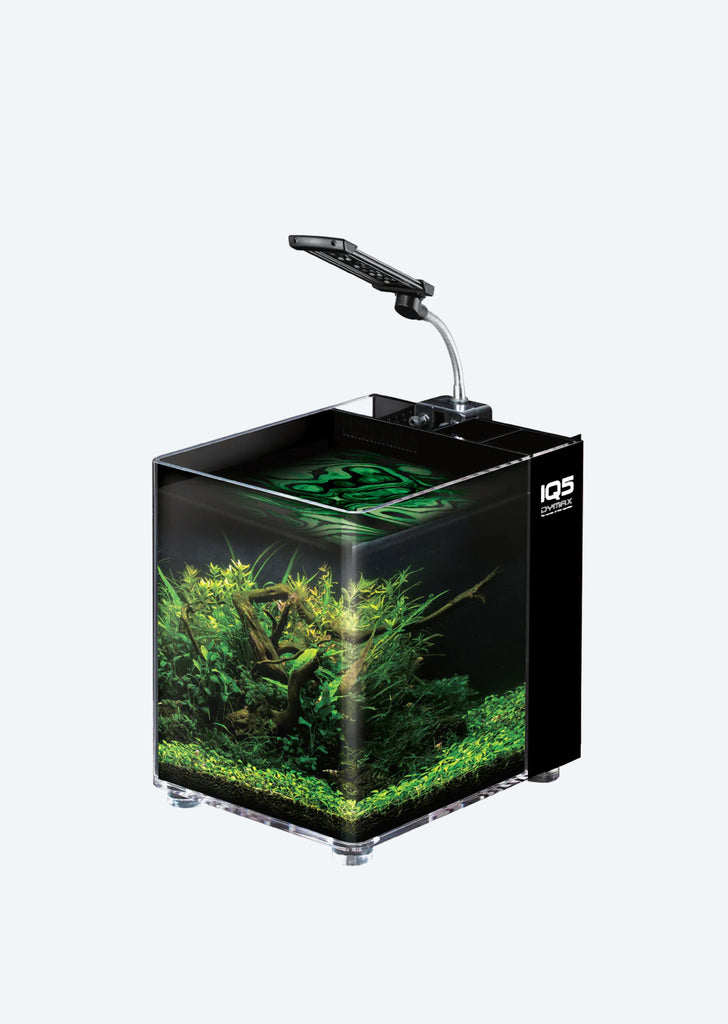 IQ5 Mini Acrylic Aquarium