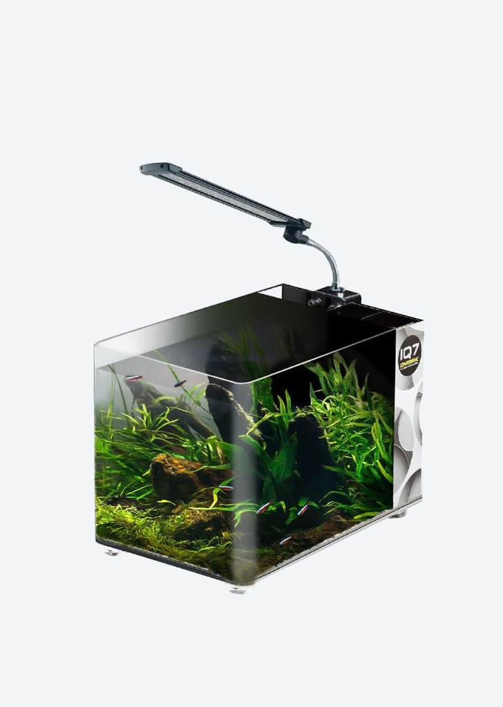 IQ7 Mini Acrylic Aquarium