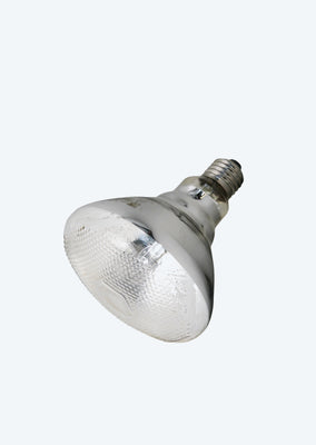 JBL UV-Spot plus (Heat Lamp)