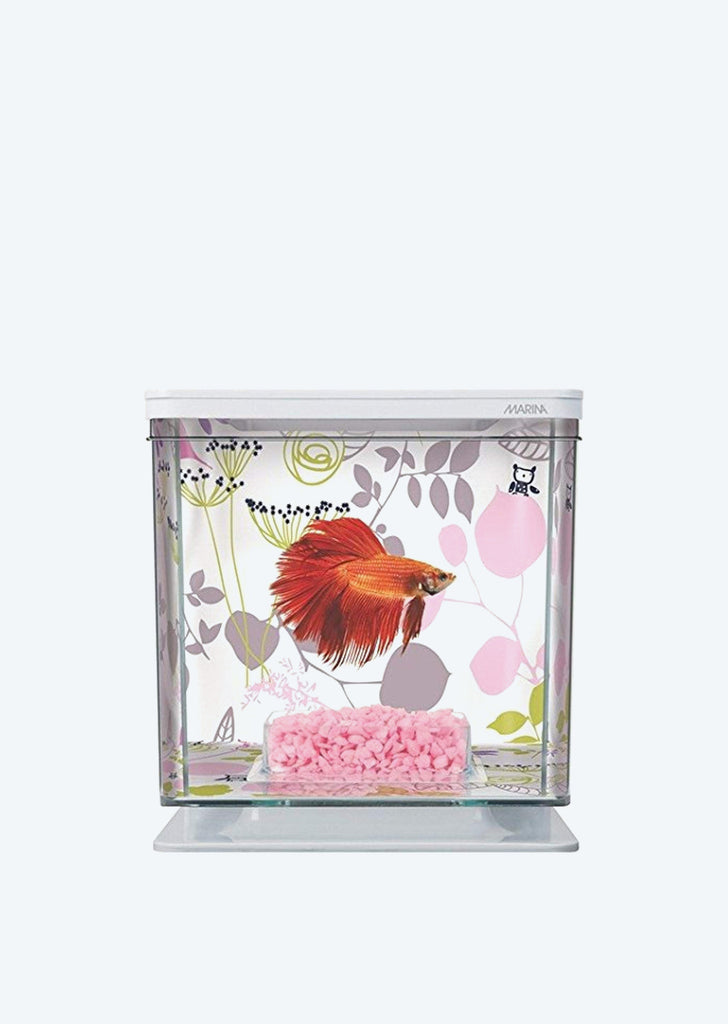 Betta Aquarium Kit 2.0L