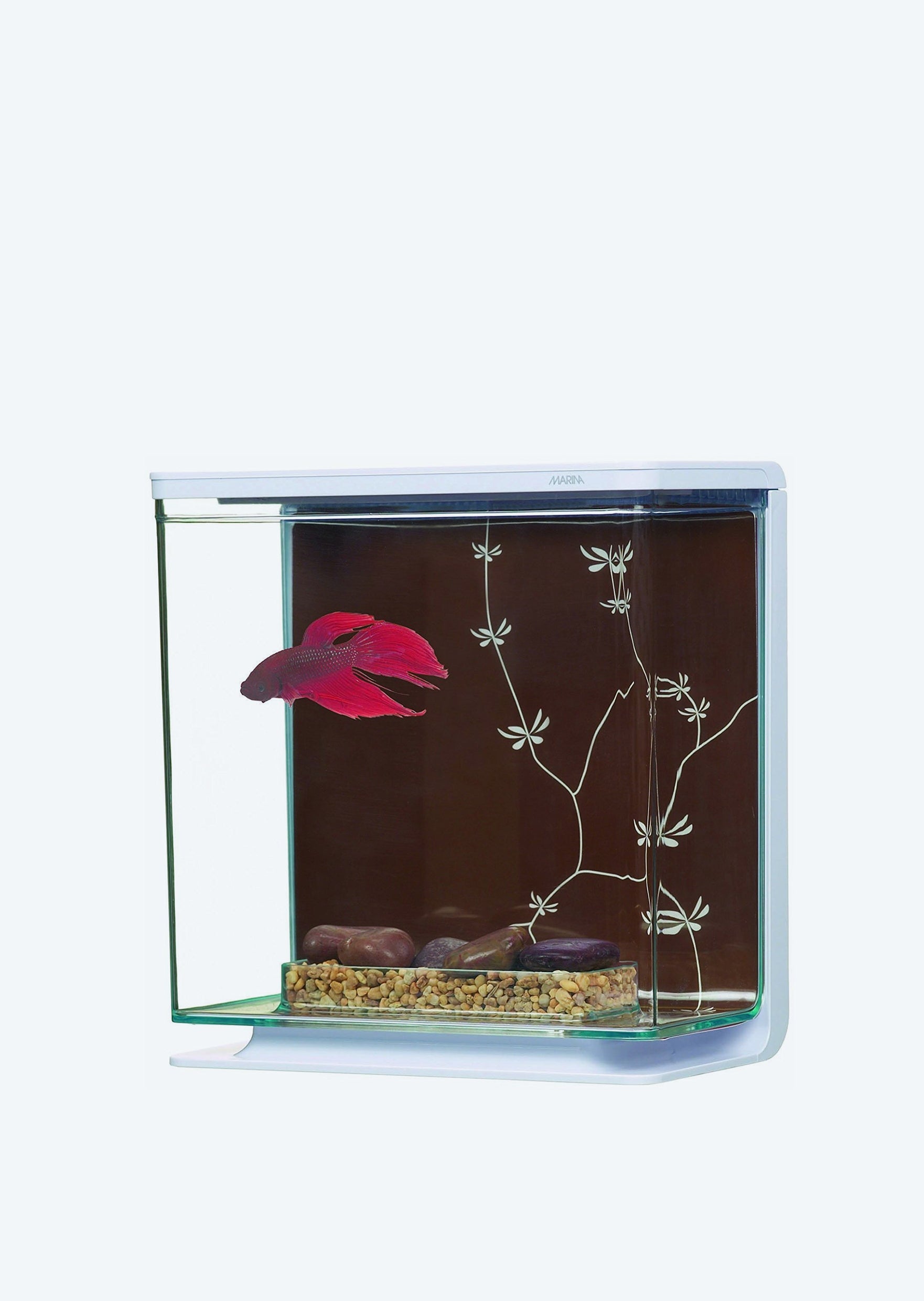 Betta Aquarium Kit 3.0L (White) | Aquariums & Fish Tanks UAE | Discus.ae