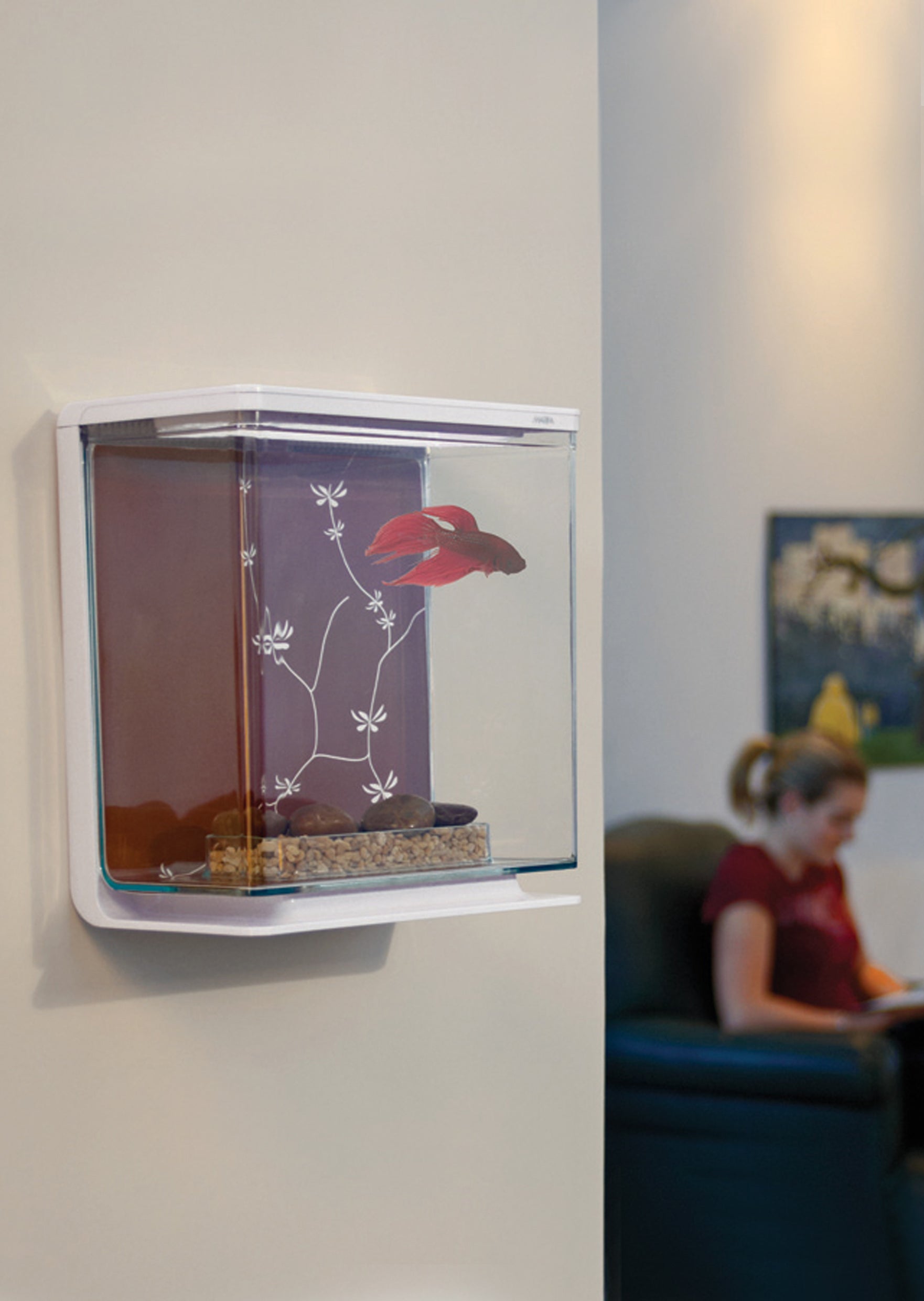 Betta Aquarium Kit 3.0L (White) | Aquariums & Fish Tanks UAE | Discus.ae