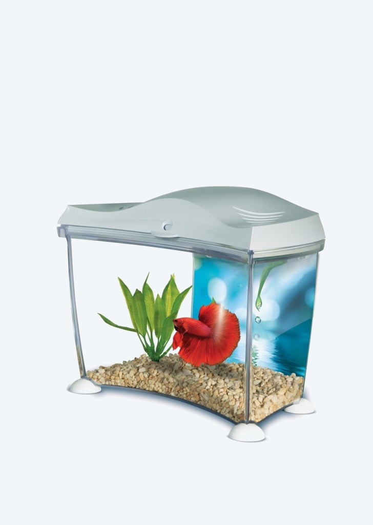 Betta Aquarium Kit 6.7L (White)