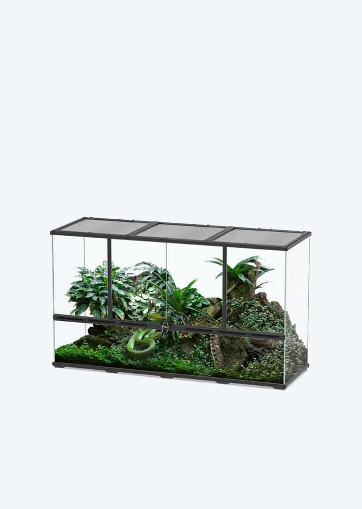 Glass Terrarium 132 X 45 X 75 Cm