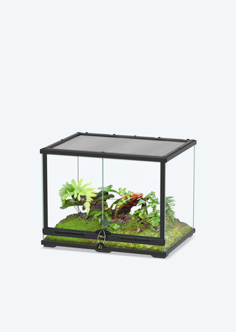 Glass Terrarium 60 X 45 X 45 Cm