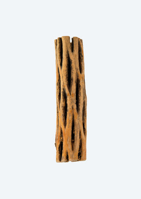 Awood Cholla Wood