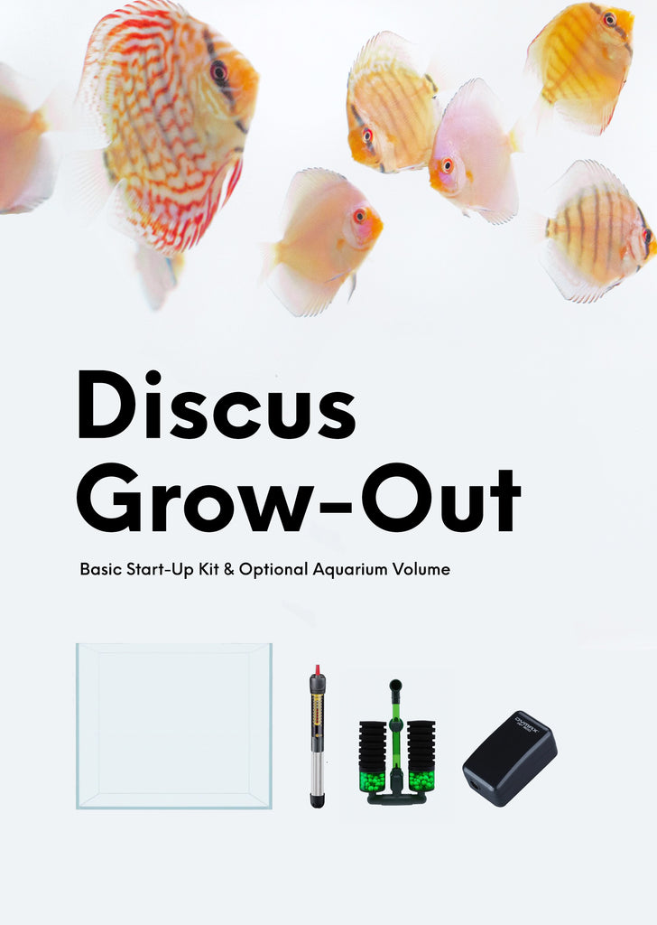 Discus Grow-Out Starter Kit
