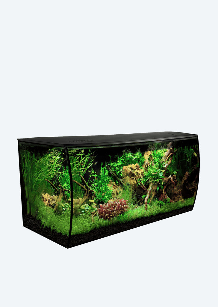 FLUVAL Flex Aquarium (123 L Black)