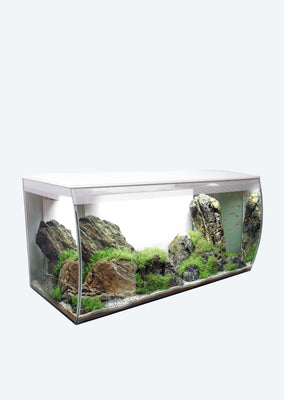 FLUVAL Flex Aquarium (123 L White)