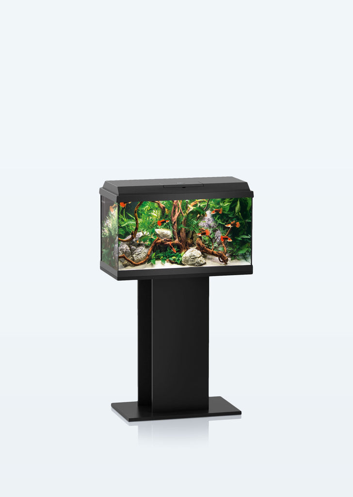 JUWEL Primo 60 LED aquarium from Juwel products online in Dubai and Abu Dhabi UAE