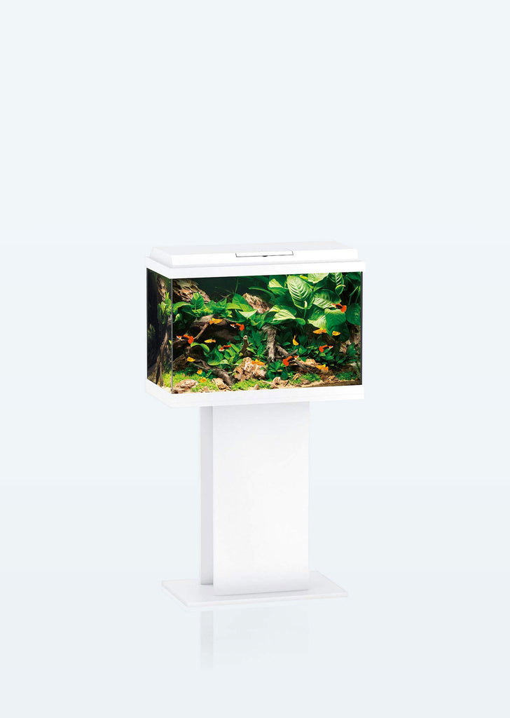 JUWEL Primo 70 LED aquarium from Juwel products online in Dubai and Abu Dhabi UAE