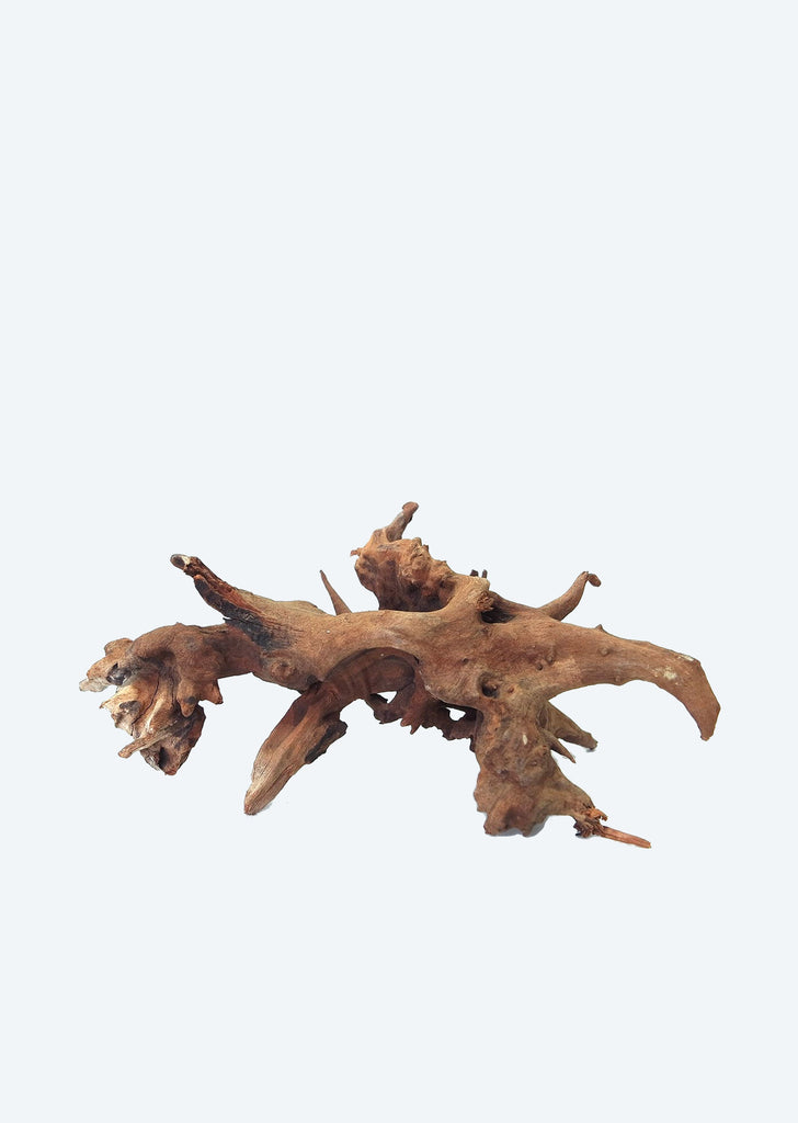 Drift Wood wood from Local products online in Dubai and Abu Dhabi UAE