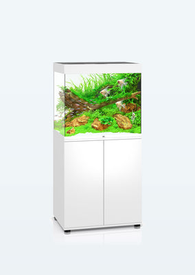 JUWEL Lido 200 LED aquarium from Juwel products online in Dubai and Abu Dhabi UAE