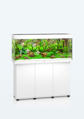 JUWEL Rio 240 LED aquarium from Juwel products online in Dubai and Abu Dhabi UAE