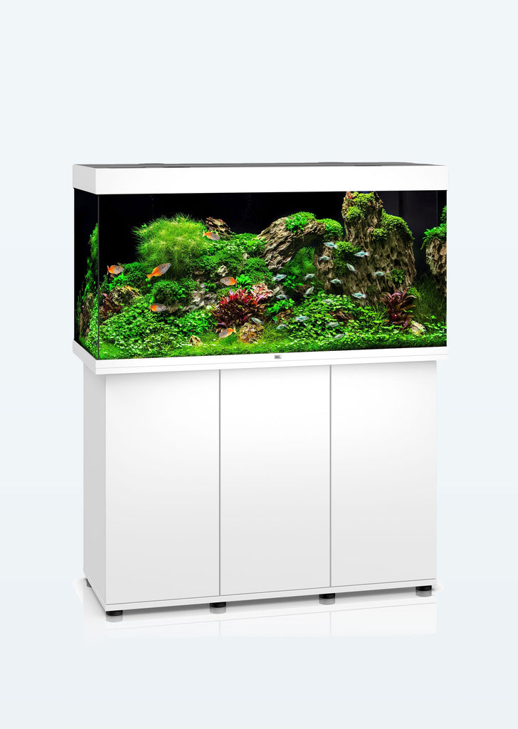 JUWEL Rio 350 LED aquarium from Juwel products online in Dubai and Abu Dhabi UAE