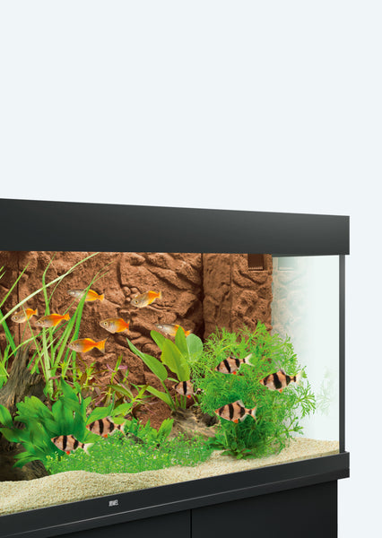 Juwel Terras Stone Granite - Aquarium - Achterwand - 36.6x7.4x15.3 cm Grijs - Aquascape - Pets Place Juwel Terras Stone Granite - Aquarium - Achterwand - 36.6x7.4x15.3 cm Grijs - Aquascape - Pets Place