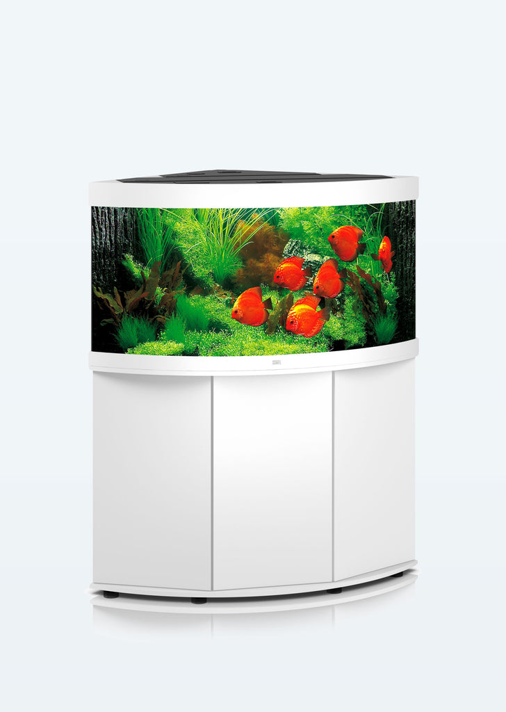 JUWEL Trigon 350 LED aquarium from Juwel products online in Dubai and Abu Dhabi UAE