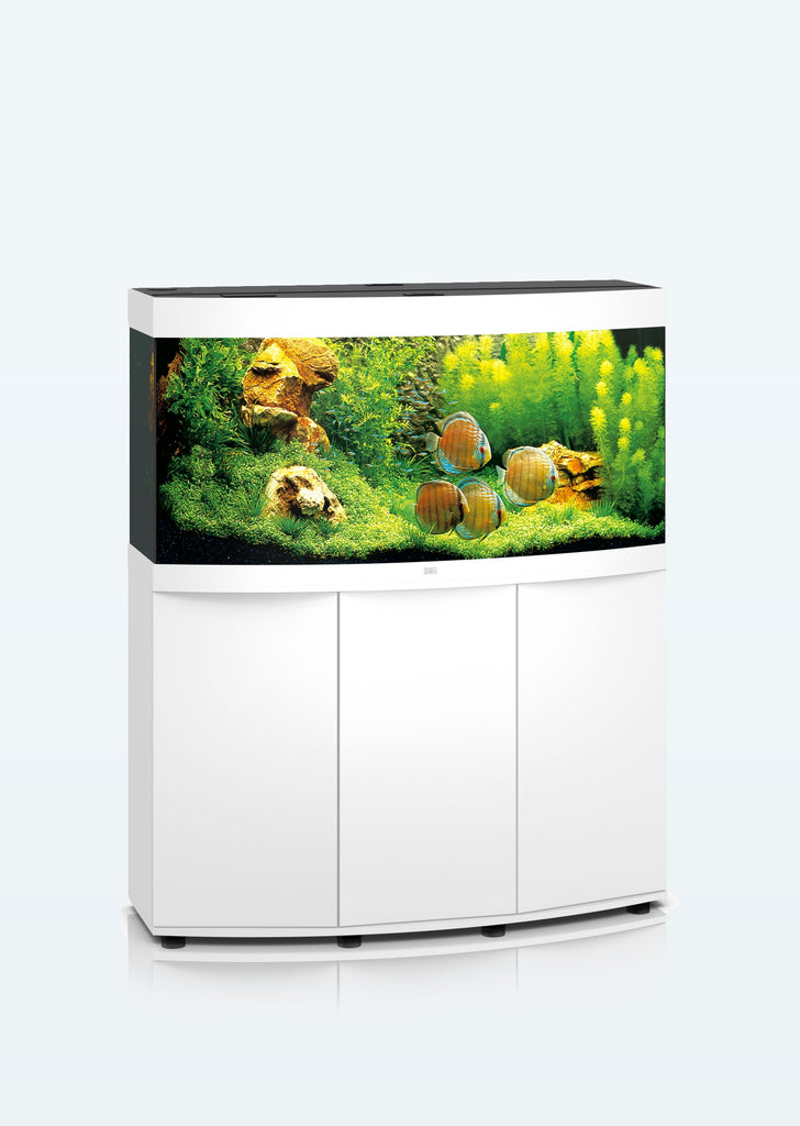 JUWEL Vision 260 LED aquarium from Juwel products online in Dubai and Abu Dhabi UAE