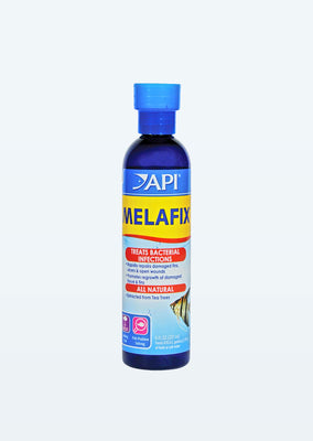 API Melafix medication from API products online in Dubai and Abu Dhabi UAE