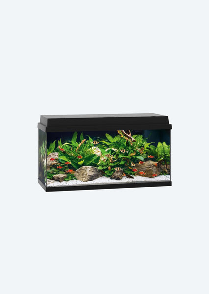 Juwel Aquariums