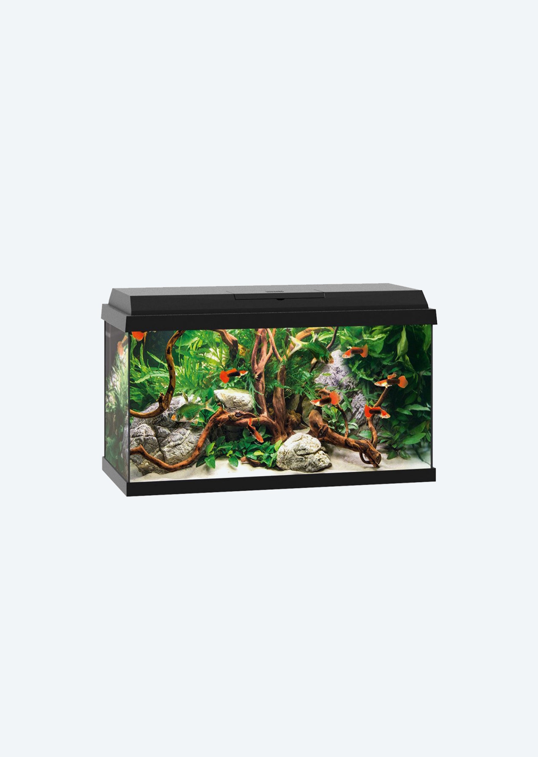 JUWEL Primo 60 LED Aquariums Fish Tanks UAE Discus ae juwel-primo-60-led-aquariums-fish-tanks-uae-discus-ae