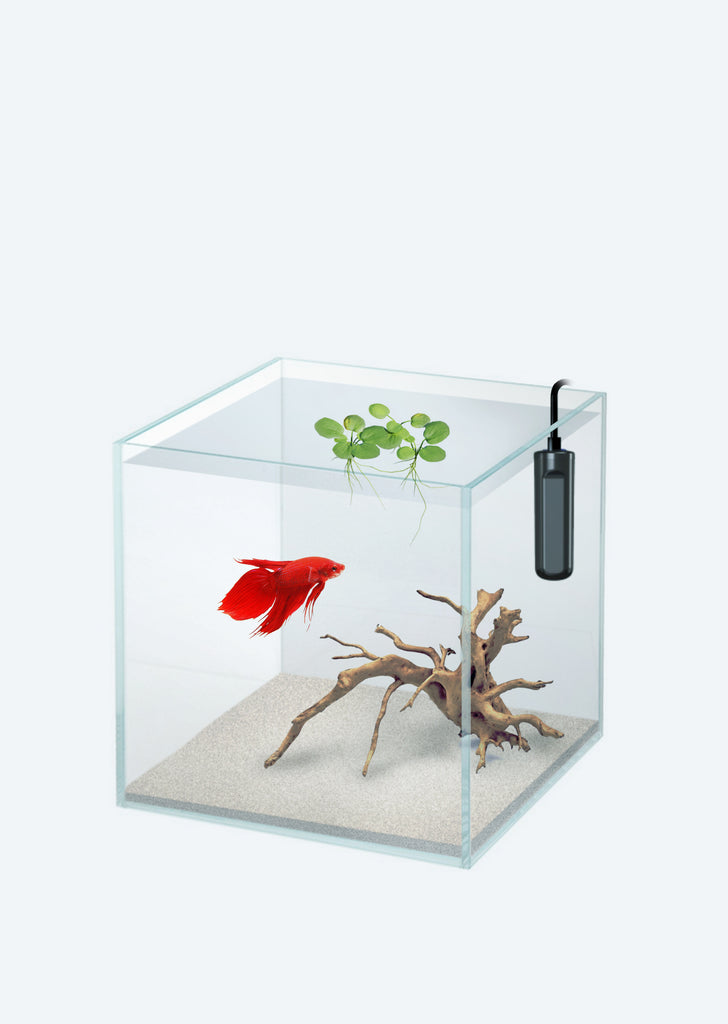 Rimless Low-Iron Aquarium - Cube