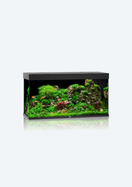 Fluval Rio 350 JUWEL Rio 350 LED | Aquariums & Fish Tanks UAE | Discus.ae