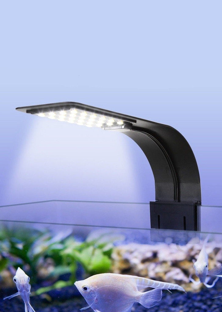 Roxin Clip-On 10W LED Top Light