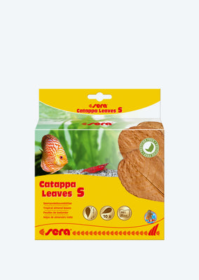sera Catappa (Almond) Leaves