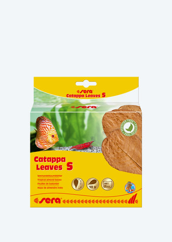 sera Catappa (Almond) Leaves