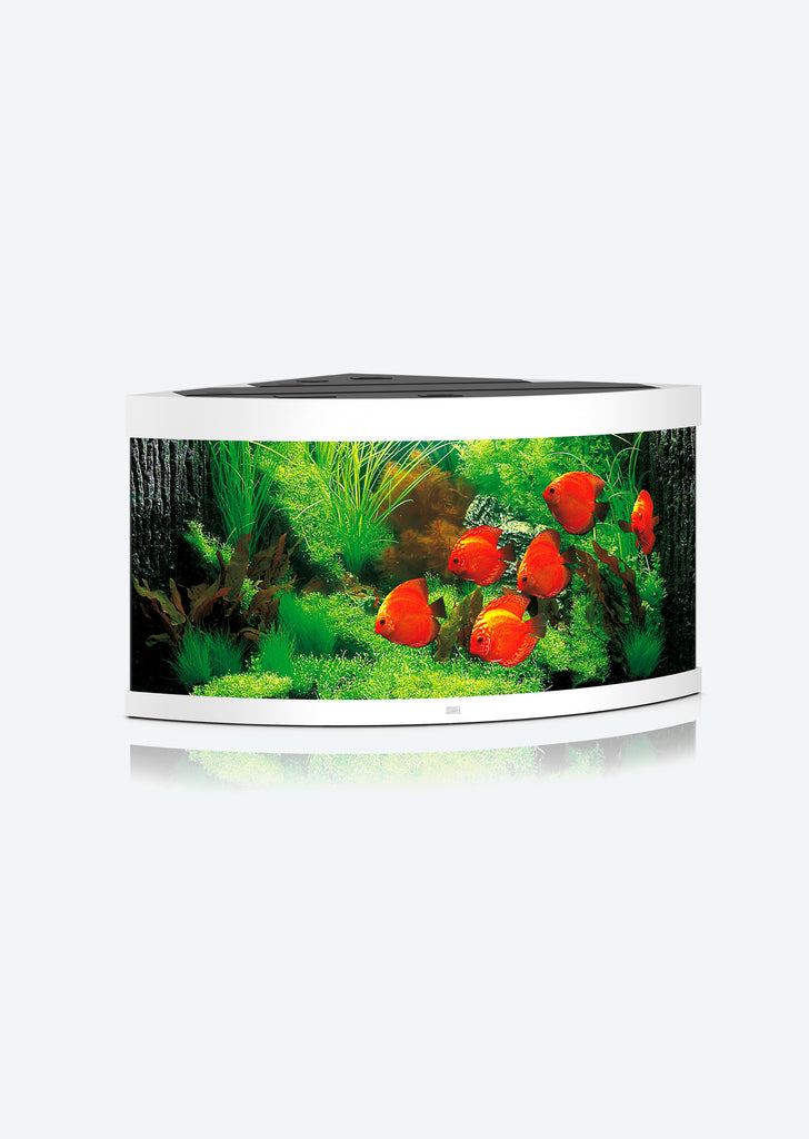 JUWEL Trigon 350 LED