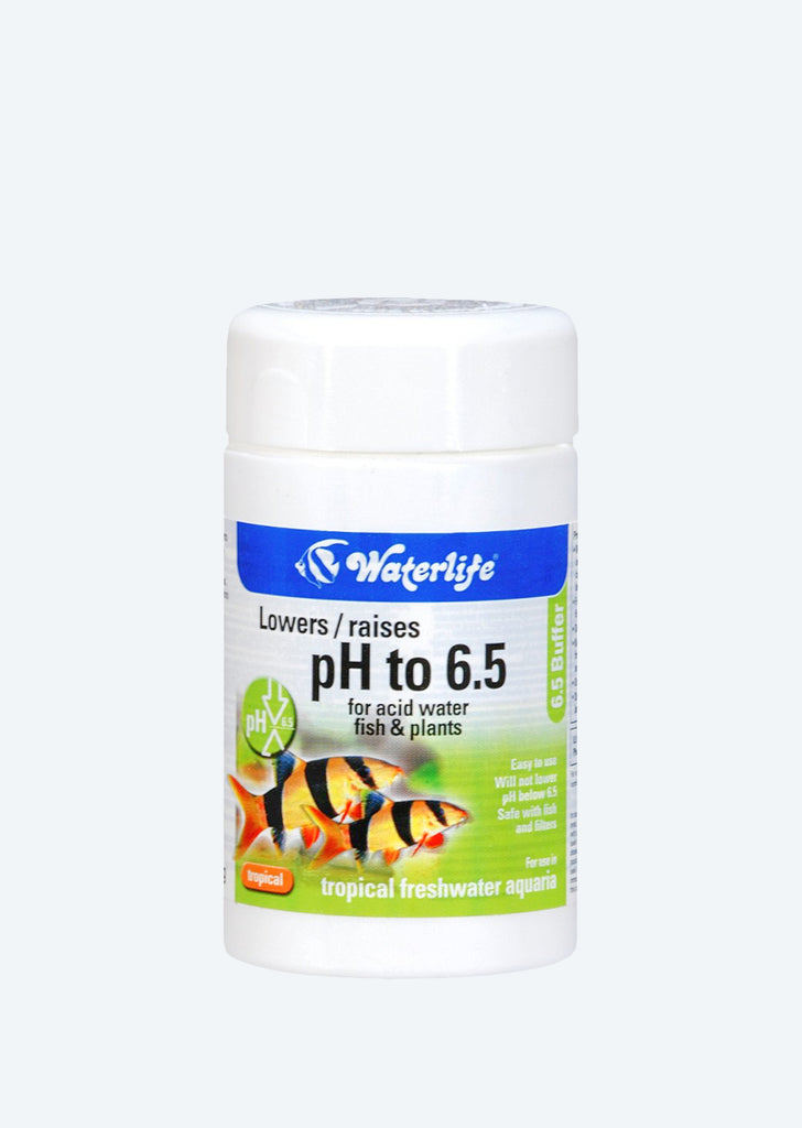 Waterlife 6.5 Buffer water from Waterlife products online in Dubai and Abu Dhabi UAE
