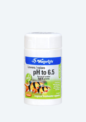 Waterlife 6.5 Buffer water from Waterlife products online in Dubai and Abu Dhabi UAE