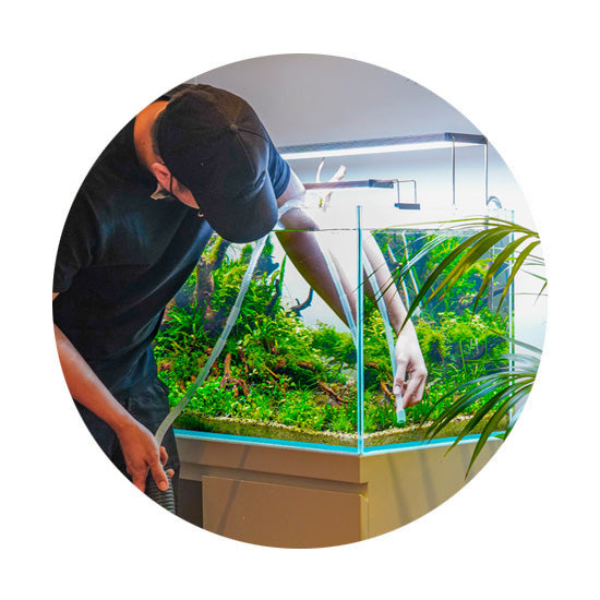 Maintenance | Discus.ae